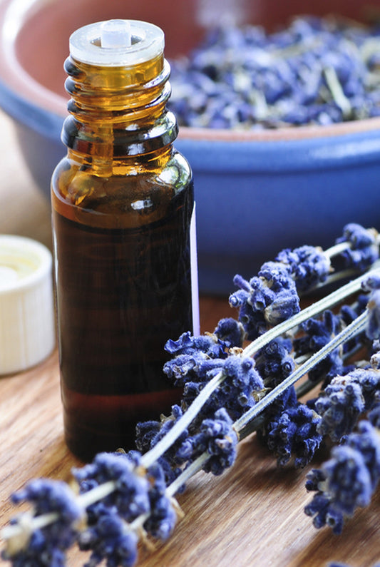 Lavender Essential Oil