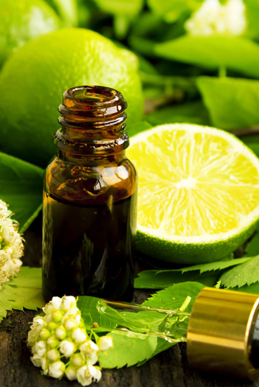 Lime Essential Oil
